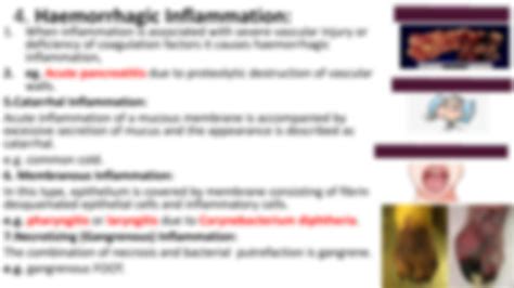 Image result for Morphologic Patterns of Acute Inflammation with Example