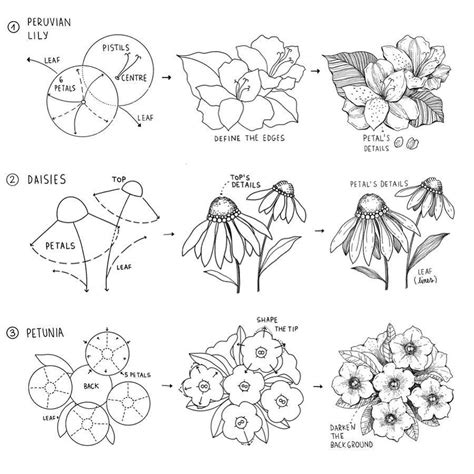 Line Drawing Flowers Tutorial – Warehouse of Ideas