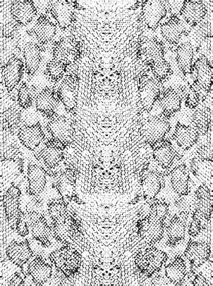 Image result for Python Drawing Texture