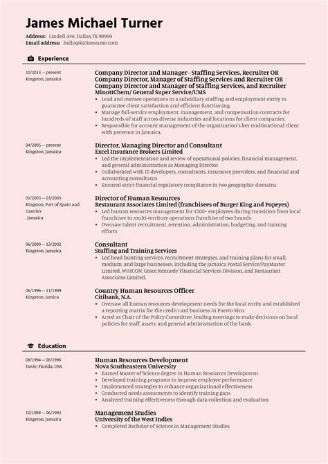 Image result for Resume Example for Data Analyst