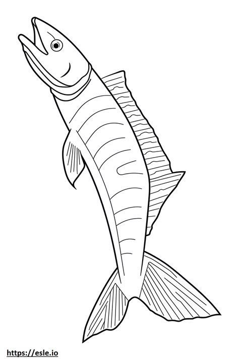 Image result for Wahoo Fish Anatomy Diagram
