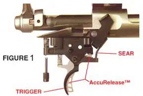 Image result for Adjusting the Winchester Model 70 Trigger