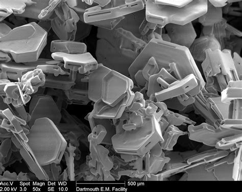 Snowflake Under Electron Microscope에 대한 이미지 결과