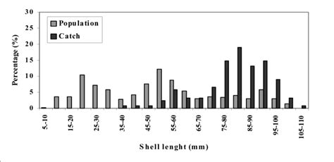 Frequency Range of Shell Types に対する画像結果
