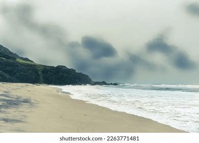 Cyclone Gabrielle Auckland ପାଇଁ ପ୍ରତିଛବି ଫଳାଫଳ