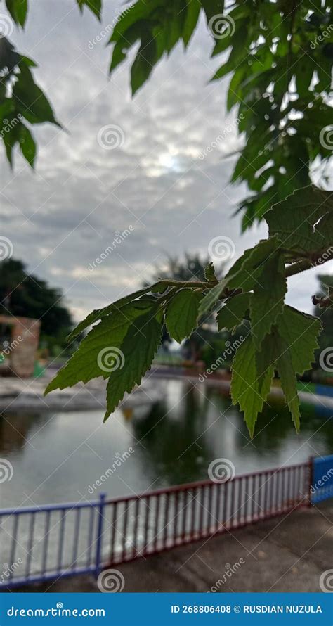 Image result for Java Image Asthetic