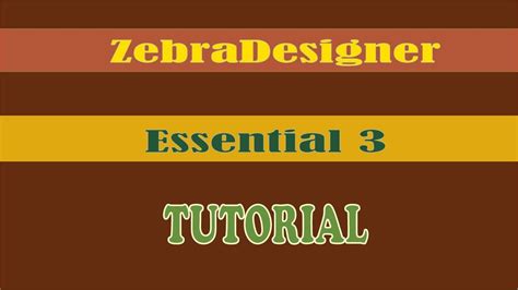 ZebraDesigner Essential 3 TUTORIAL - YouTube