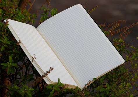 Big Graph Notebook に対する画像結果