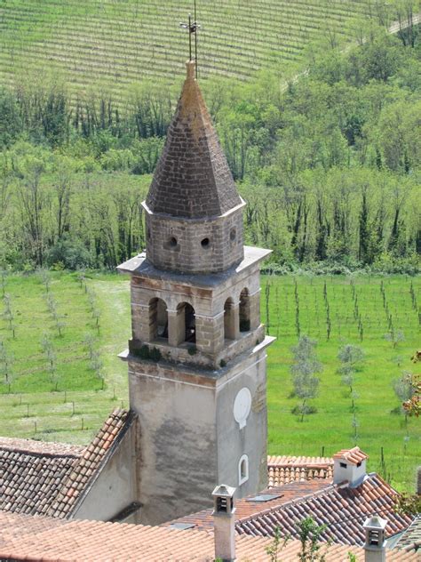 Mouotebane に対する画像結果