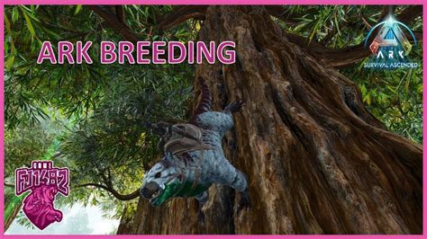 Image result for Ark Mutation Stacking