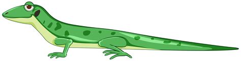 Image result for Lizard Cartoon