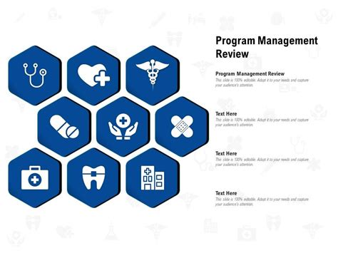 Image result for Program Management Review Template
