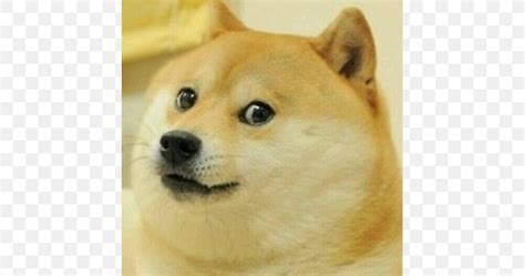 Image result for Doge Roblox Icon