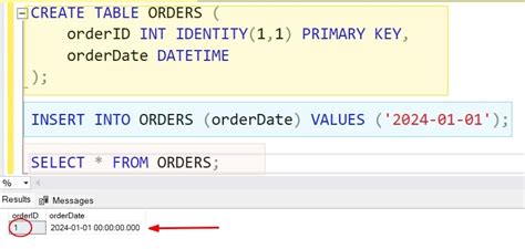 Image result for Int Identity SQL