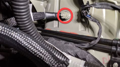 Image result for How Does a Check Strap Work