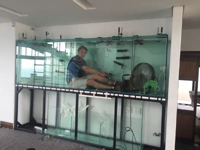 Image result for How to Build a Custom Fish Tank