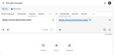 Image result for Google Translate Web Page