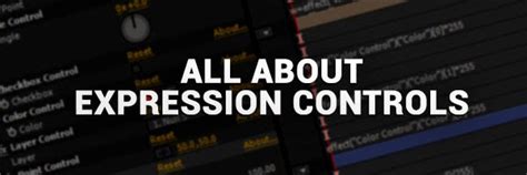 Image result for Expression Controls