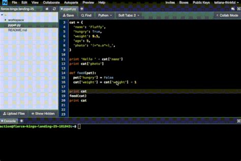 Image result for Python Prgram GIF