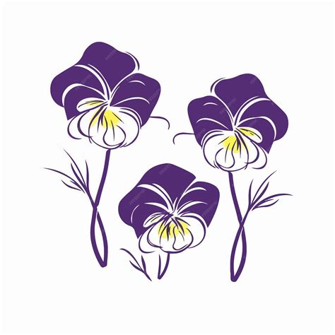 Image result for Pansy Shell Vector
