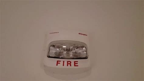 TrueAlert Simplex Amber Strobe に対する画像結果