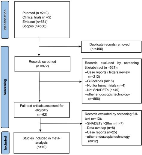 Branch of Selection Flowchart に対する画像結果