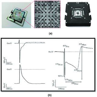 Multi-Electron Array に対する画像結果