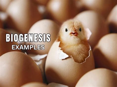 Afbeeldingsresultaten voor Biogenesis Books