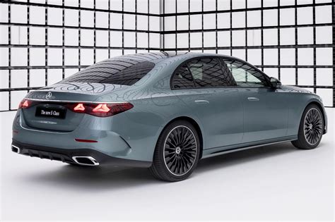 Image result for Class 10th Image of Vegetative Propagation Method Cutting