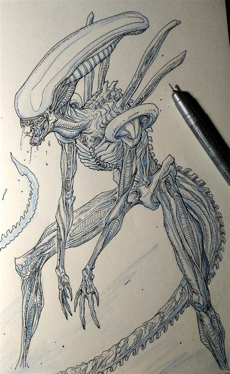 Alien Legs Drawing に対する画像結果