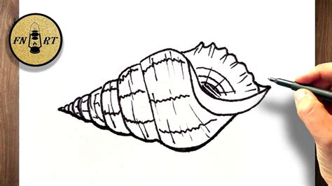 Conch Shell Drawing Lotf に対する画像結果