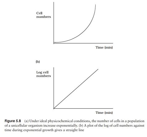 Image result for Growth Kinetics Graph