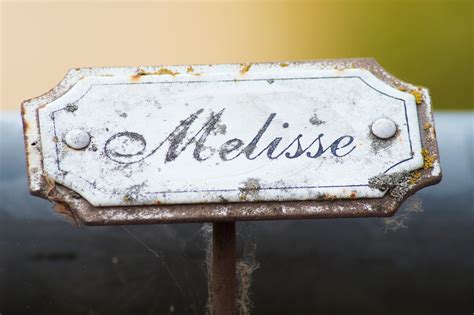 Image result for Name Tag Card