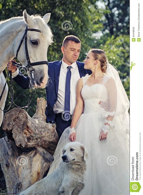 Image result for Princess Bride White Horse