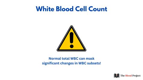 Image result for WBC Count