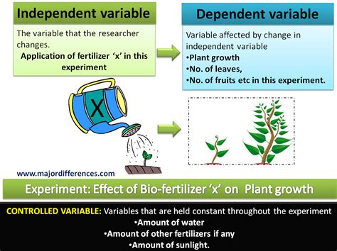 Constant Experiment Examples に対する画像結果