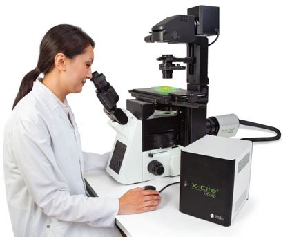 Image result for Lumen Microscope Slide