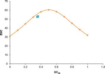 Effective Number of Codons に対する画像結果