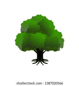 Image result for Great Tree Vector