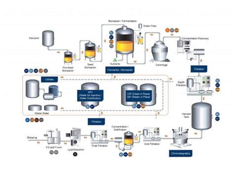 Image result for Biotec Process Map