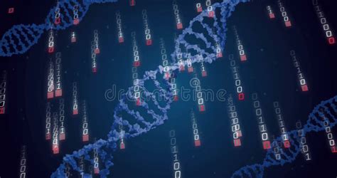 Image result for Gene Coding Animation Pictures