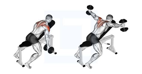 Image result for Dumbbell Fly Correct Form