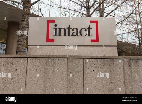Image result for Intact Logo