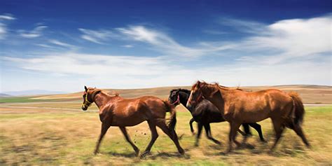 High Resolution Image of Printing Paper に対する画像結果