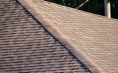Image result for Architect Shingles