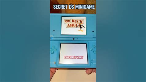Image result for DS Mini-Game