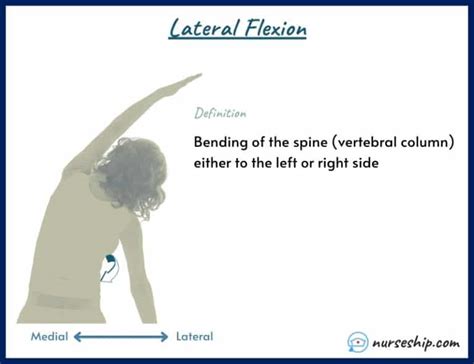 Lateral Flexion Movement に対する画像結果