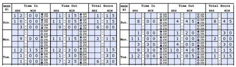Example of Timesheet Graphs に対する画像結果