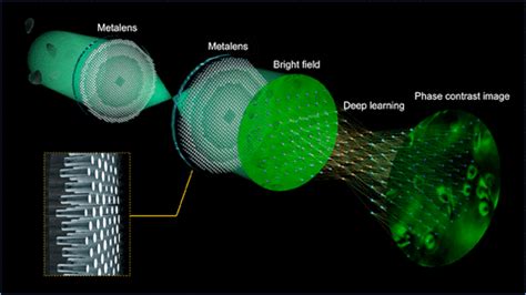 Image result for Digital Phase Contrast Microscope