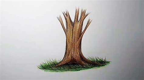 Realistic Tree Trunk Drawing に対する画像結果
